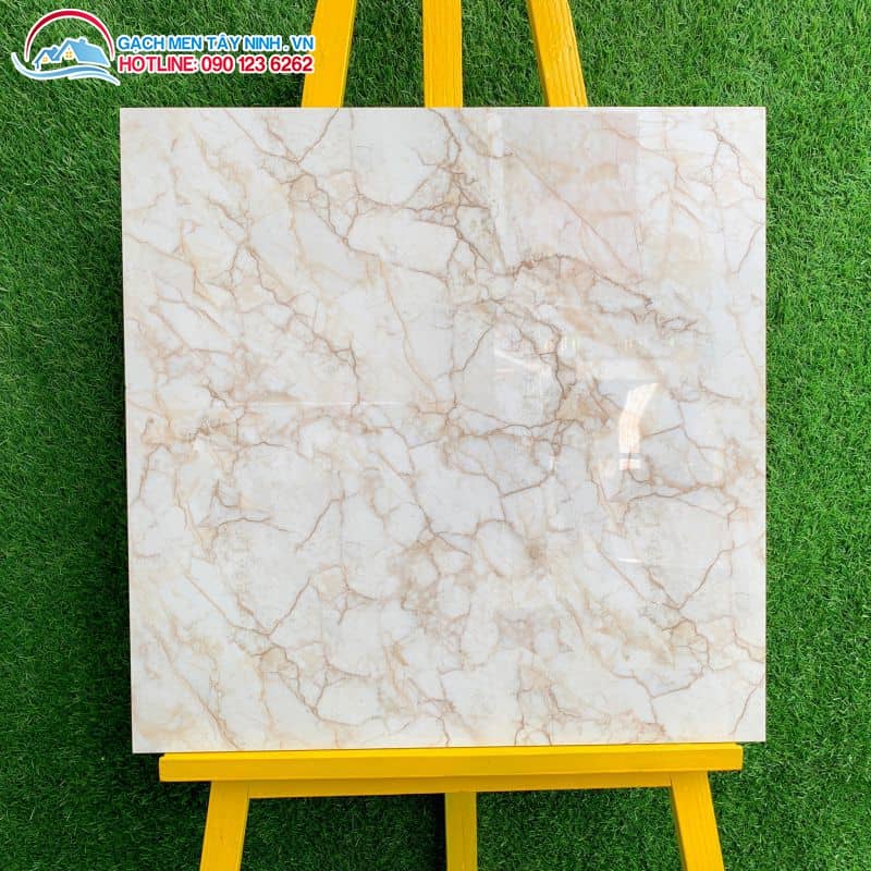 Gạch bóng kiếng 60x60 Long An