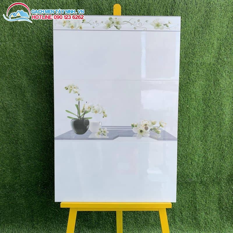 Gạch ốp tường 30x60 Tân Châu