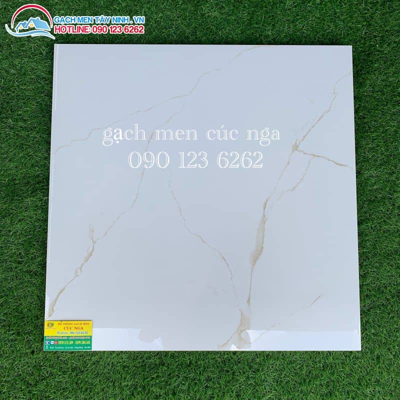 gạch lát nền 60x60 long an