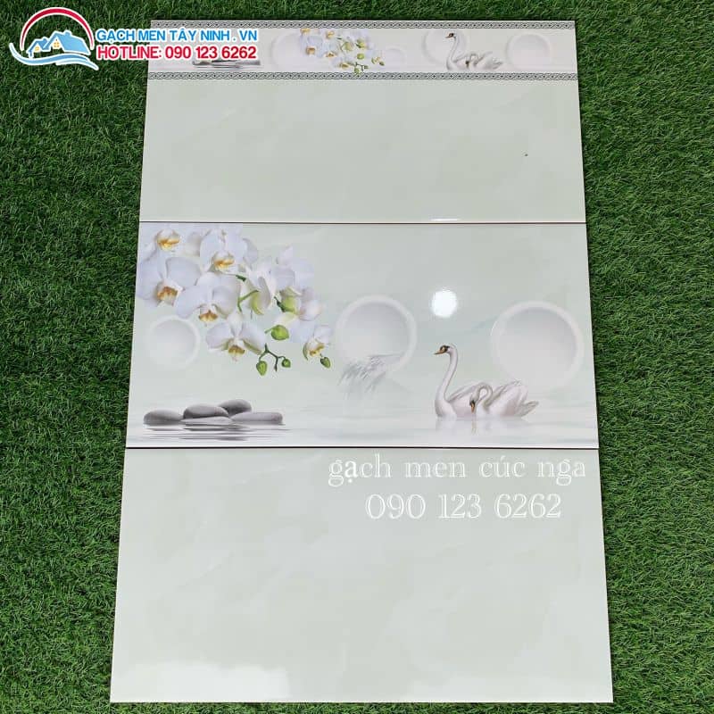 gạch ốp tường 30x60 tại long an