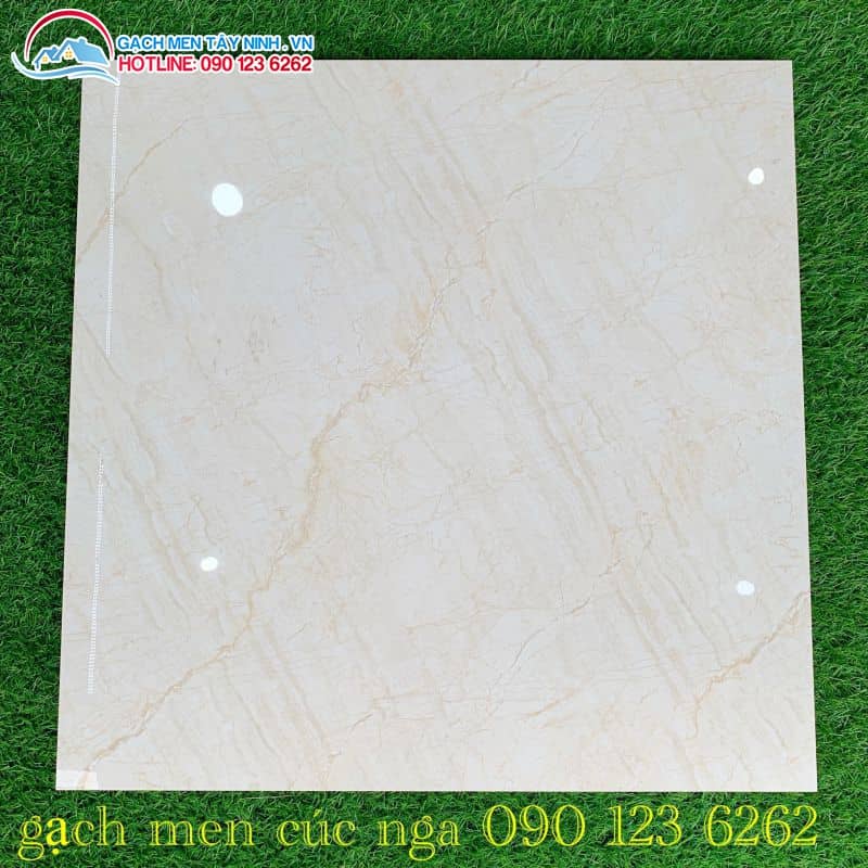 GẠCH BÓNG KIẾNG 60X60 TÂY NINH