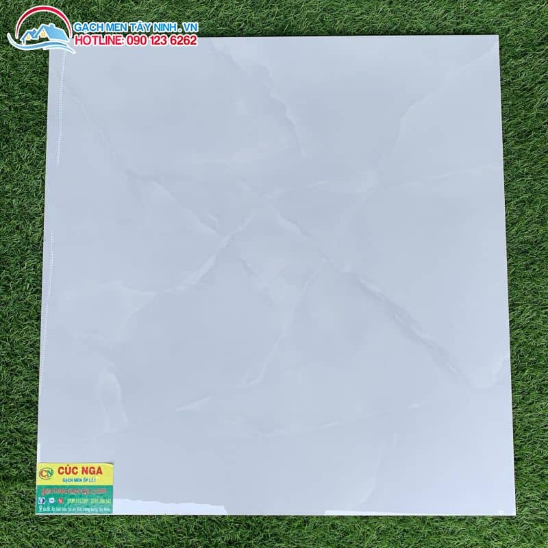 GẠCH BÓNG KIẾNG 60X60  LONG AN